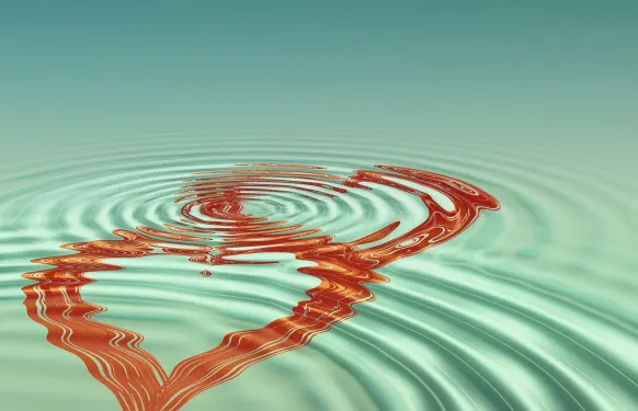 Armedbet Cazinou Suport